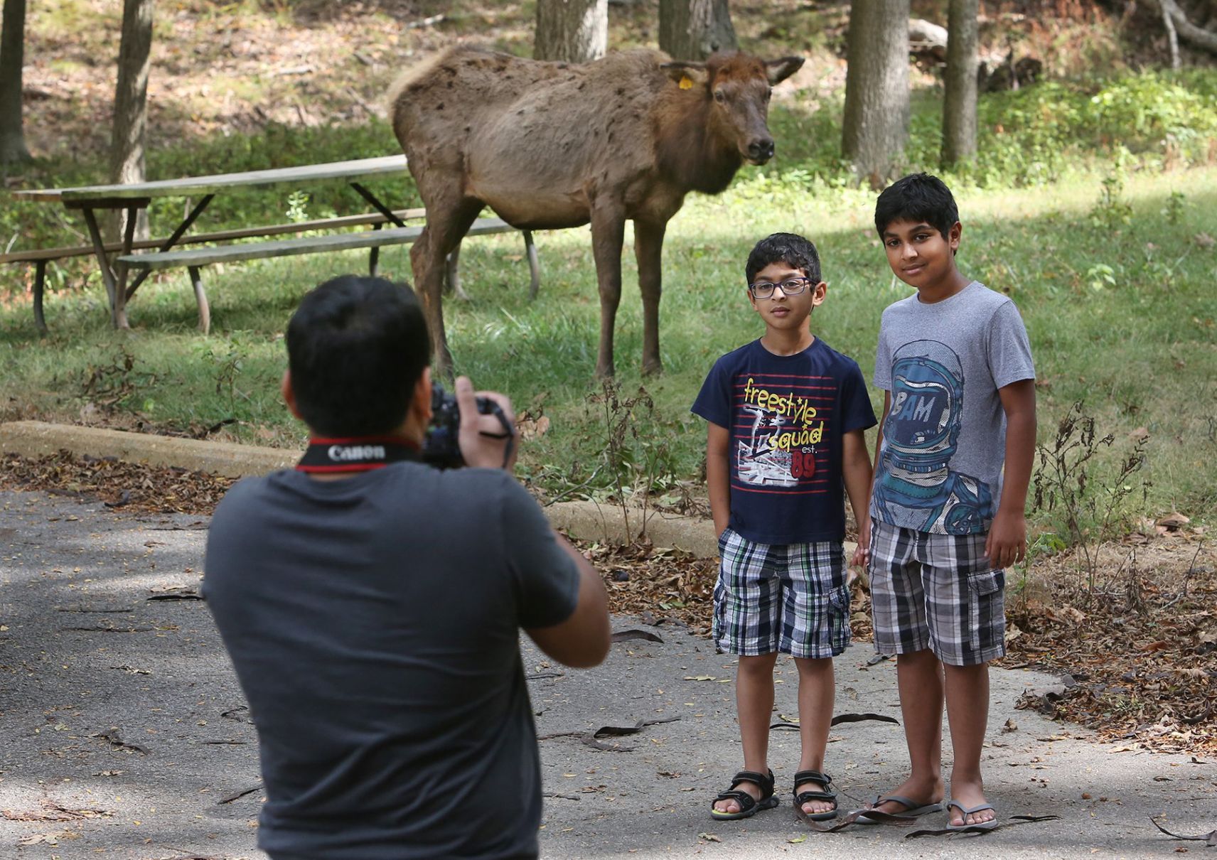 People are Ignoring the Signs at Lone Elk Park
